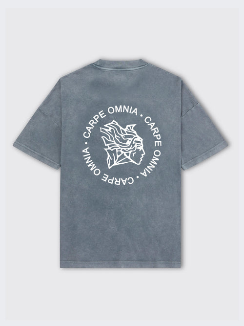 Circle Icon T-Shirt Acid Grey